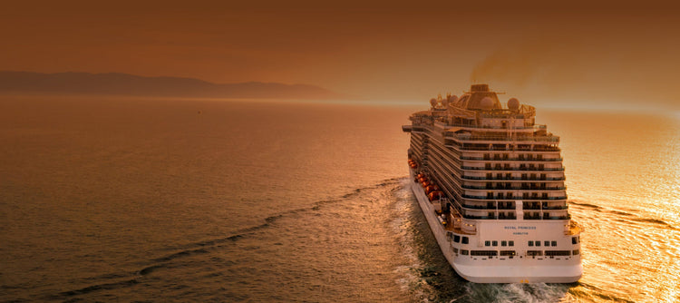 Explore Upcoming Trips