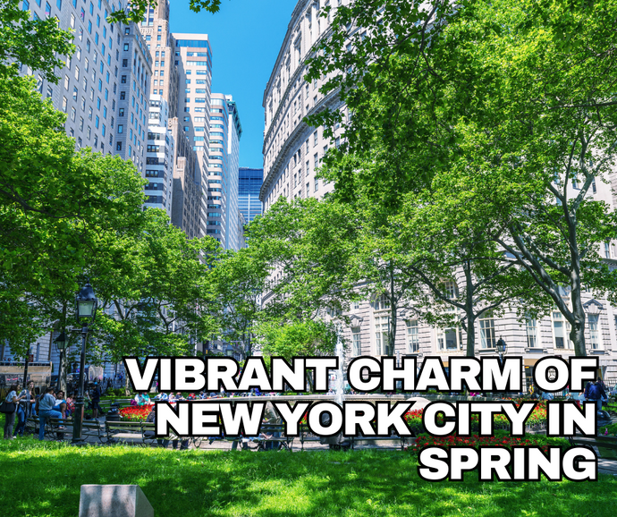 Exploring the Vibrant Charm of New York City in Spring