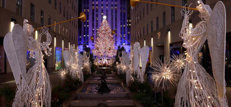 Holiday Trips