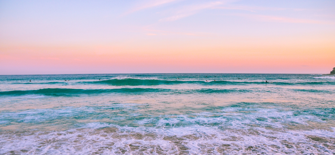 Beach Trips