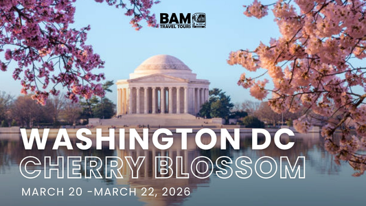 Washington D.C. Cherry Blossom Whirlwind | March 20-22, 2026
