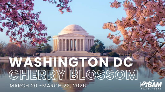 Washington D.C. Cherry Blossom Whirlwind | March 20-22, 2026
