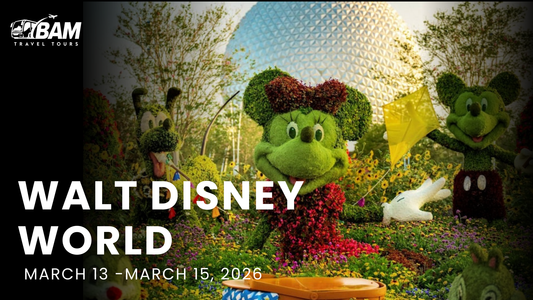 Disney Whirlwind | Choose Your Park | March 13-15, 2026