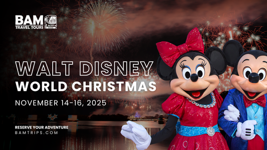 Christmas Magic at Disney: Weekend Whirlwind | November 14–16, 2025