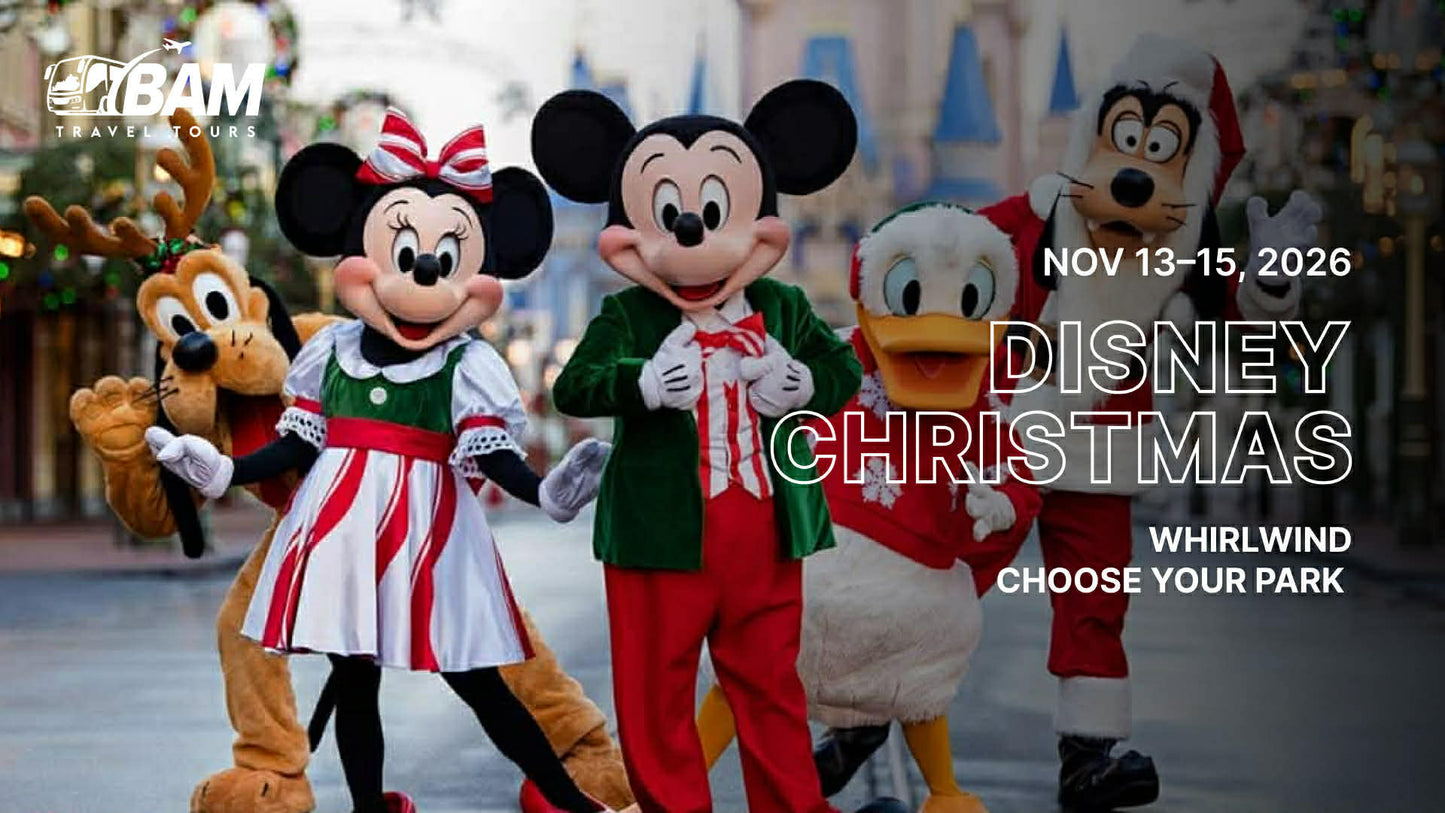 Disney Whirlwind | Choose Your Park | Nov. 13-15, 2026