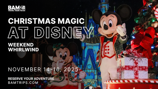 Christmas Magic at Disney: Weekend Whirlwind | November 14–16, 2025