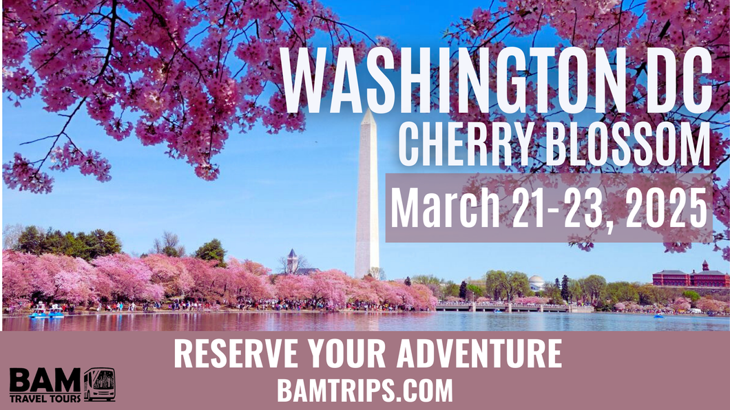 Washington DC Cherry Blossom (March 21-23, 2025) Pikeville KY | Louisa KY |Huntington WV | Sutton WV