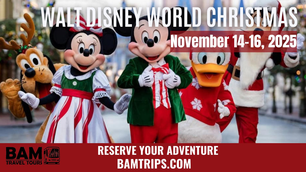 Walt Disney World Christmas (November 14-16, 2025) Catlettsburg KY| Louisa KY | Pikeville KY |  Kingsport, TN | Knoxville  TN