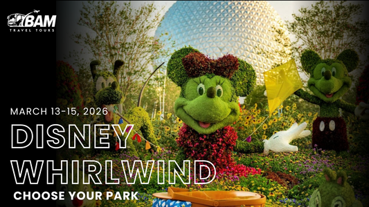Disney Whirlwind | Choose Your Park | March 13-15, 2026
